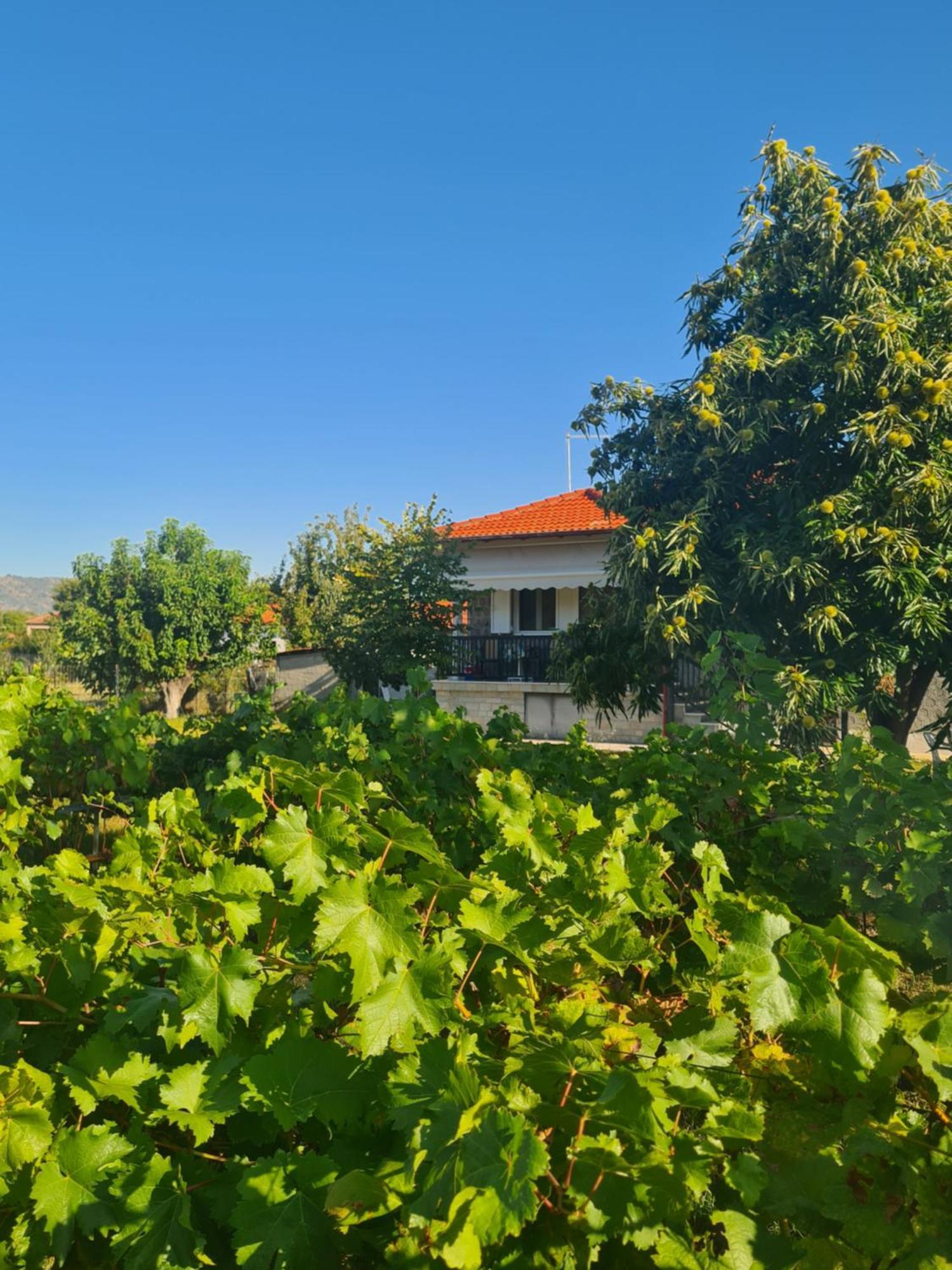 Villa Anna Paliókastron Екстериор снимка